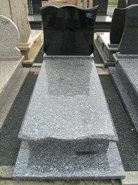 Kośmin nr.410