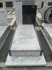 Wiscont White nr.245