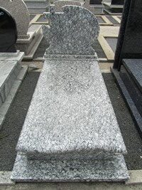 Gnejs Oczkowy nr.243