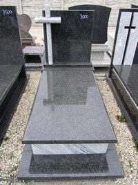 Lablador Platynowy nr.308