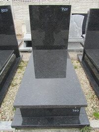 Lablador Platynowy nr.303