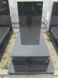 Lablador Platynowy nr.304