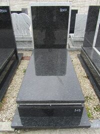 Lablador Platynowy nr.305