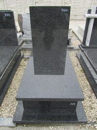 Lablador Platynowy nr.307