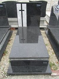 Lablador Platynowy nr.309