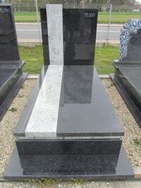 Lablador Platynowy nr.20